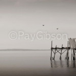 Weathered