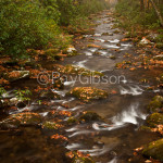 Autumn Stream 2