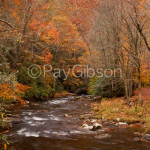 Fall Tranquility