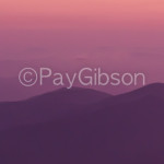 Purple Ridges